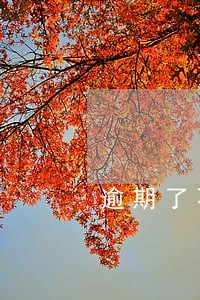 逾期了不主动协商怎么办 逾期了不主动协商怎么办