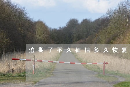 逾期了不久征信多久恢复
