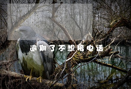 逾期了不想接电话 逾期了不想接电话