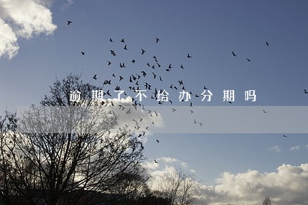 逾期了不给办分期吗