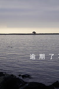逾期了不给办理房贷怎么办
