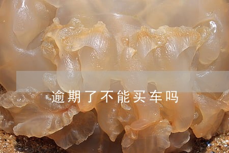 逾期了不能买车吗 逾期了不能买车吗