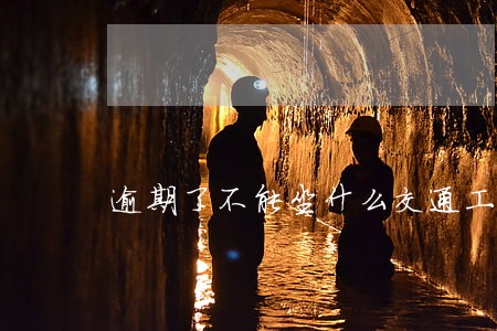 逾期了不能坐什么交通工具 逾期了不能坐什么交通工具