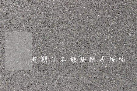 逾期了不能贷款买房吗 逾期了不能贷款买房吗