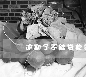 逾期了不能贷款买车吗 逾期了不能贷款买车吗