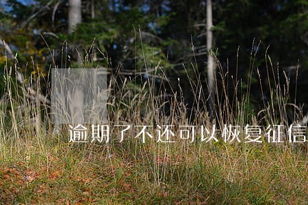 逾期了不还可以恢复征信吗