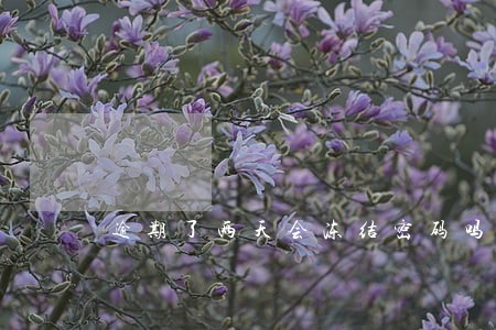 逾期了两天会冻结密码吗 逾期了两天会冻结密码吗
