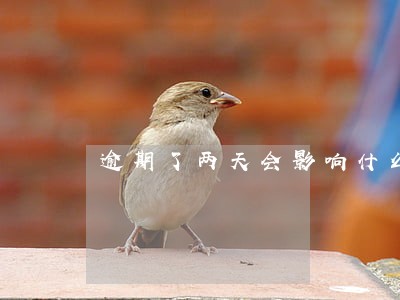 逾期了两天会影响什么 逾期了两天会影响什么