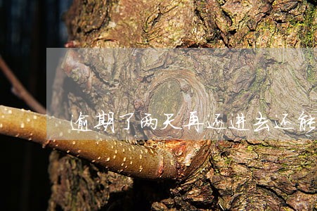 逾期了两天再还进去还能再借吗 逾期了两天再还进去还能再借吗
