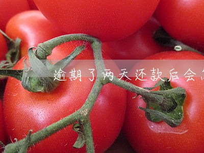逾期了两天还款后会怎么样 逾期了两天还款后会怎么样