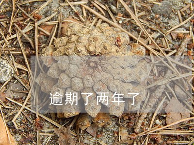 逾期了两年了 逾期了两年了