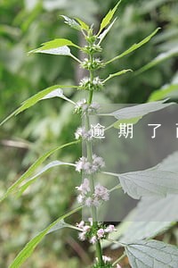 逾期了两年钱才还上有啥影响吗