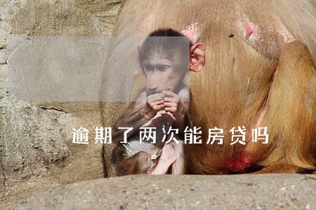 逾期了两次能房贷吗 逾期了两次能房贷吗