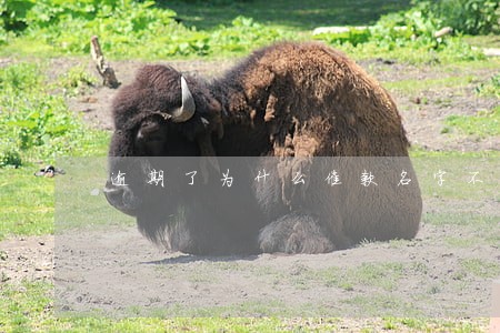 逾期了为什么催款名字不是自己