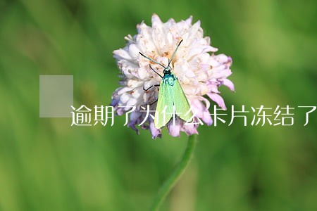 逾期了为什么卡片冻结了 逾期了为什么卡片冻结了