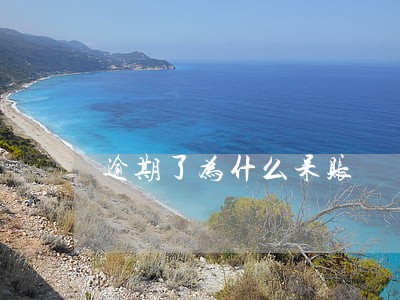 逾期了为什么呆账 逾期了为什么呆账