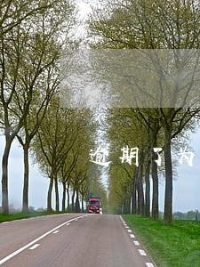 逾期了为什么没有人催收 逾期了为什么没有人催收