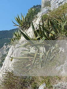 逾期了为什么给别人发信息 逾期了为什么给别人发信息