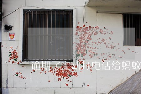 逾期了主动打电话给蚂蚁金融