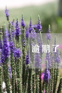 逾期了之后怎么申请房贷 逾期了之后怎么申请房贷
