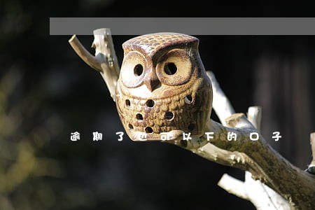 逾期了也可以下的口子 逾期了也可以下的口子