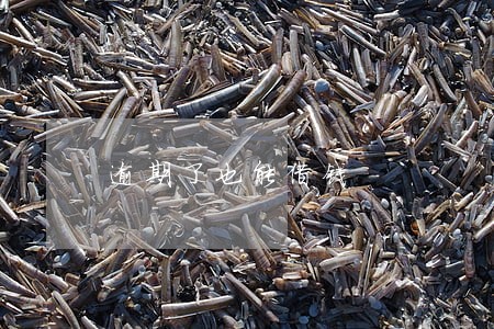 逾期了也能借钱 逾期了也能借钱