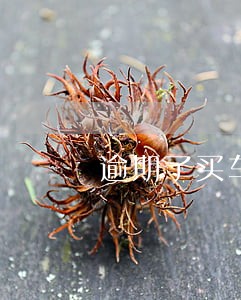 逾期了买车有影响吗 逾期了买车有影响吗