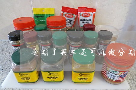 逾期了买车还可以做分期吗 逾期了买车还可以做分期吗