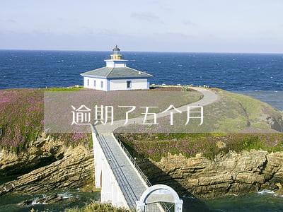 逾期了五个月