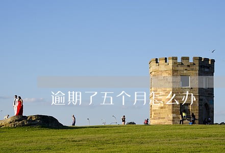 逾期了五个月怎么办 逾期了五个月怎么办