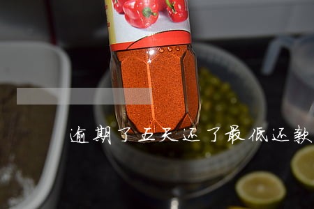 逾期了五天还了最低还款 逾期了五天还了最低还款