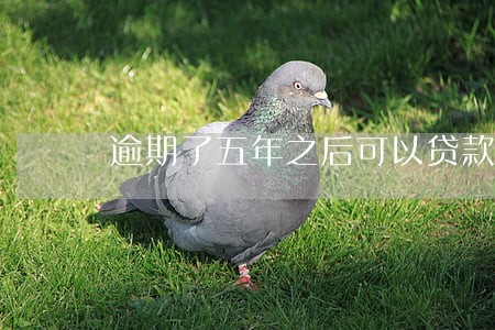逾期了五年之后可以贷款吗