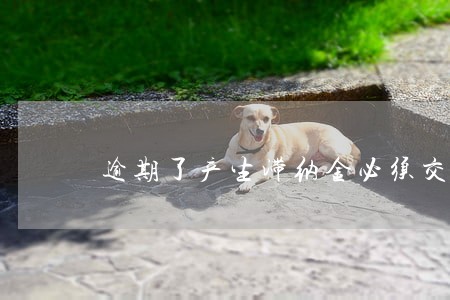 逾期了产生滞纳金必须交吗 逾期了产生滞纳金必须交吗