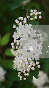逾期了产生的逾期费会上征信吗