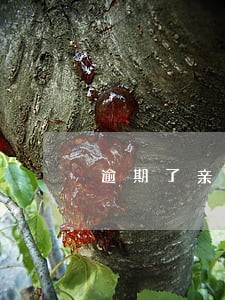 逾期了亲属会收到短信吗 逾期了亲属会收到短信吗