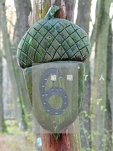 逾期了人家打电话来怎么说