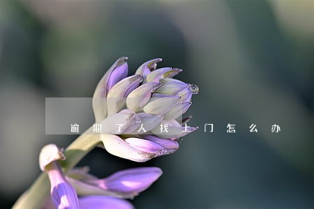 逾期了人找上门怎么办 逾期了人找上门怎么办