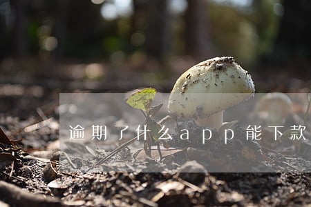逾期了什么app能下款