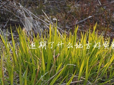 逾期了什么地方好货款 逾期了什么地方好货款