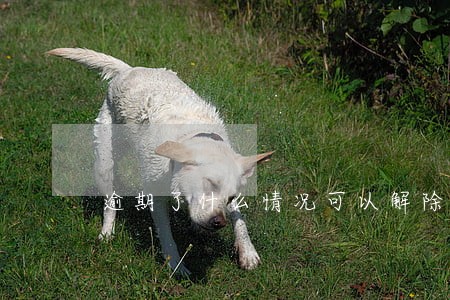 逾期了什么情况可以解除抵押