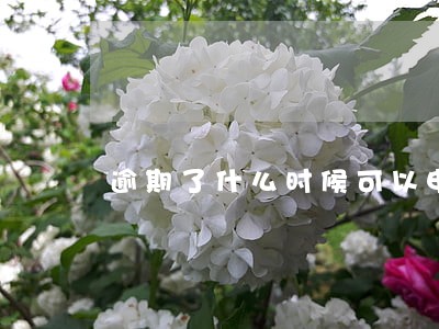 逾期了什么时候可以申请信用卡 逾期了什么时候可以申请信用卡