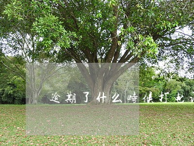 逾期了什么时候打电话 逾期了什么时候打电话