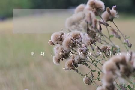 逾期了什么时候跨行扣款 逾期了什么时候跨行扣款