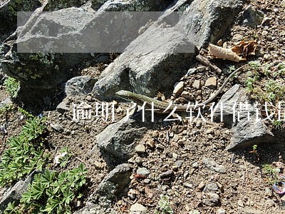 逾期了什么软件借钱最快 逾期了什么软件借钱最快