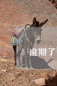 逾期了他一直发短信怎么办 逾期了他一直发短信怎么办