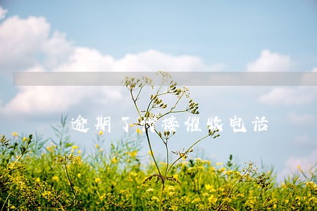 逾期了代接催收电话 逾期了代接催收电话