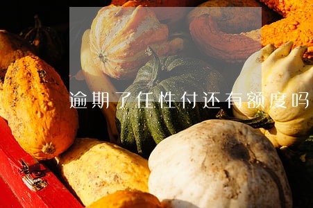 逾期了任性付还有额度吗 逾期了任性付还有额度吗