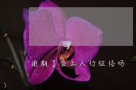 逾期了会上人行征信吗 逾期了会上人行征信吗