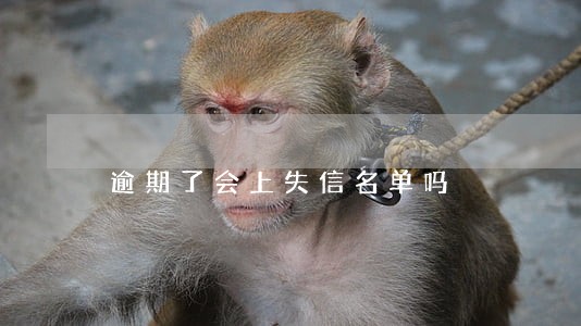 逾期了会上失信名单吗