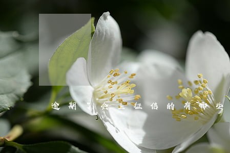 逾期了会上征信的有哪些 逾期了会上征信的有哪些